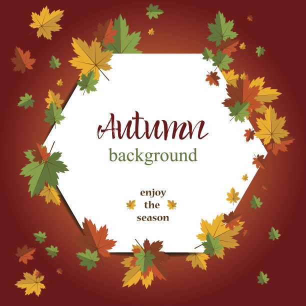 季节背景与枫叶。副本的空间。图片下载