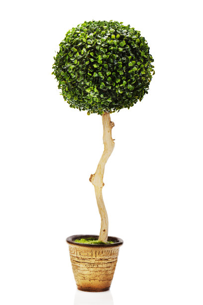 摘要由绿色人工草编排而成图片下载