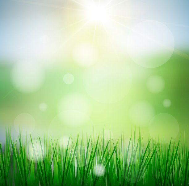 清新的春天绿草与阳光模糊的背景图片下载