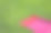 红色的毛巾覆盖在绿色的草地上图片下载