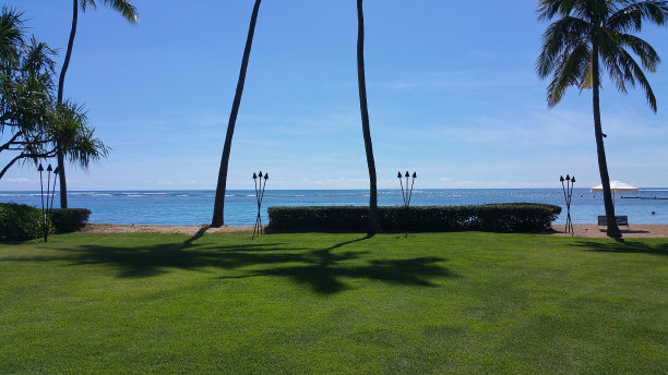 海滩前图片下载