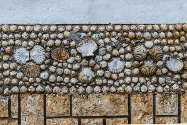 壳墙装饰图片下载