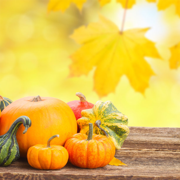 南瓜在表图片下载