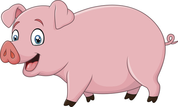 卡通快乐猪孤立在白色的背景图片下载
