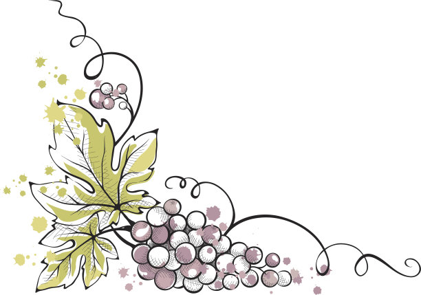 水彩插图——一串葡萄图片下载