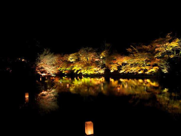 日本秋天的树背景-股票图像图片下载