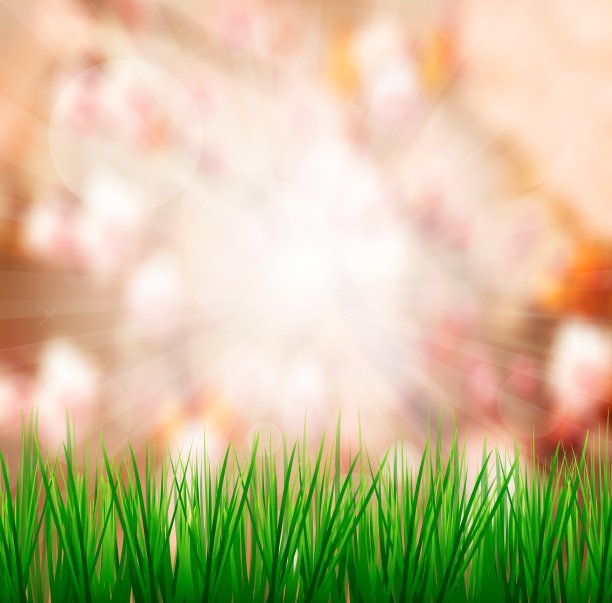 清新的春天绿草与阳光模糊的背景图片下载