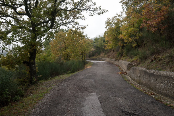 乡村的雾图片下载