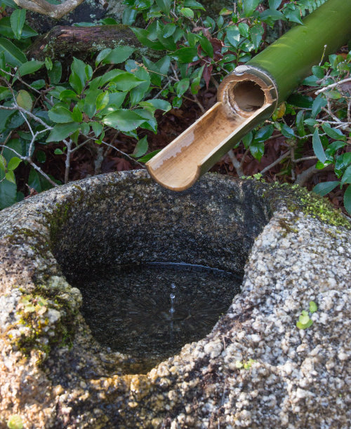 水滴从竹管中落下图片下载