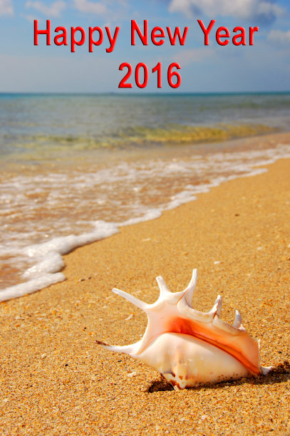 新年快乐2016海贝壳图片下载