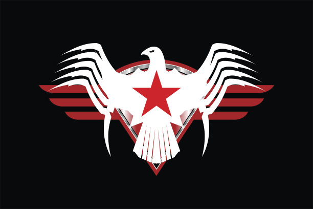 鹰。有红星和红色条纹的白雕图片下载