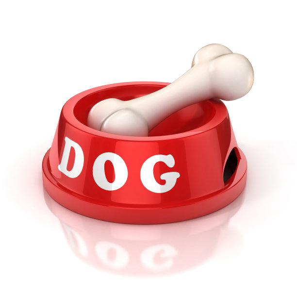 狗碗与骨3d插图图片下载