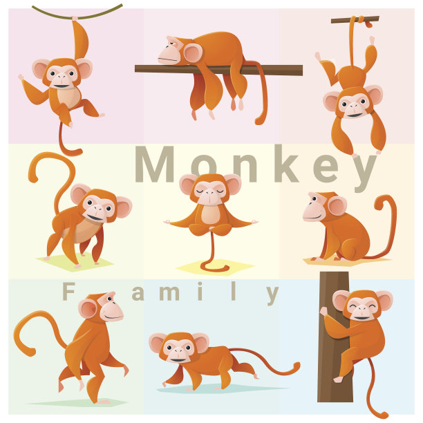 猴子家族图片下载