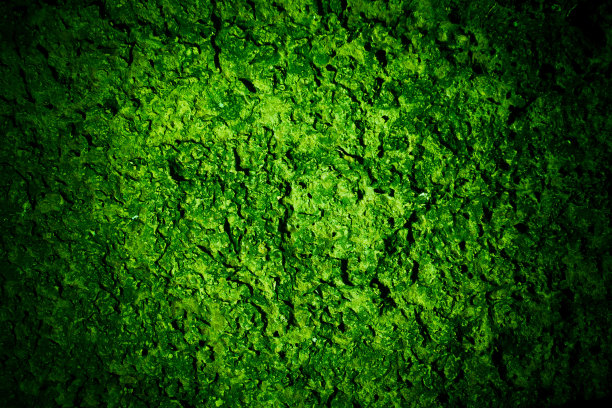 历史石的背景图片下载