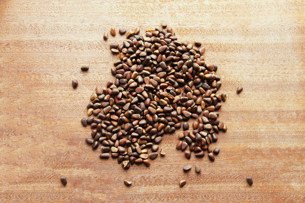 松子-西伯利亚雪松的种子，撒在木板上。图片下载