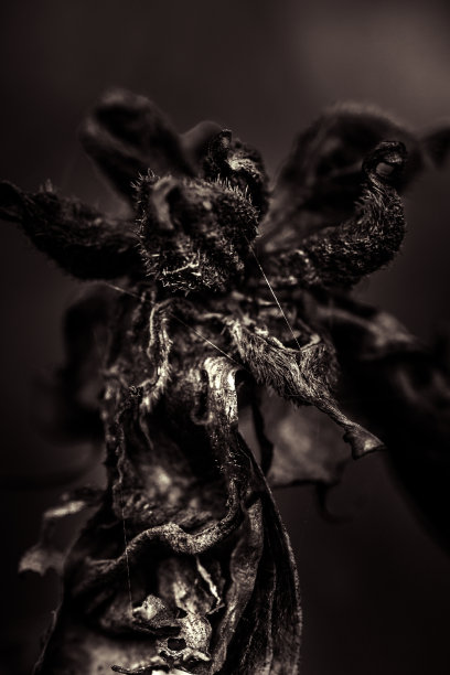 Anti-colors衰变的图片下载