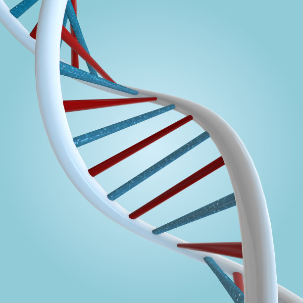 DNA结构图片下载