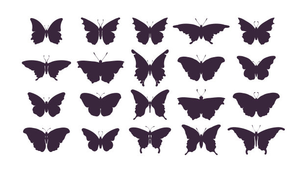的蝴蝶。素材图片