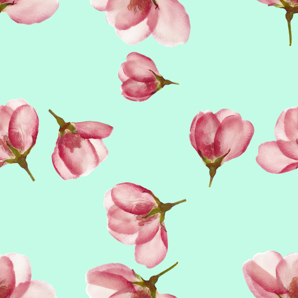 苹果。花型纹理无缝。花背景，照片拼贴图片下载