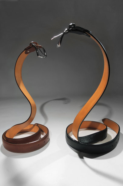 蛇形皮带图片下载