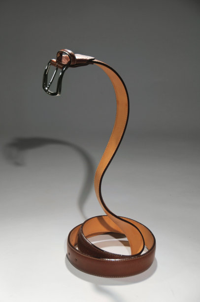 蛇形皮带图片下载