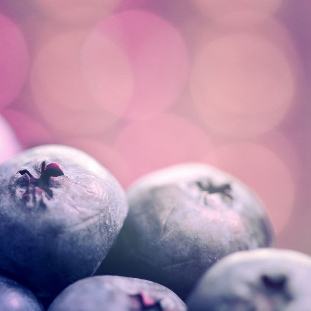 靠近蓝莓图片下载