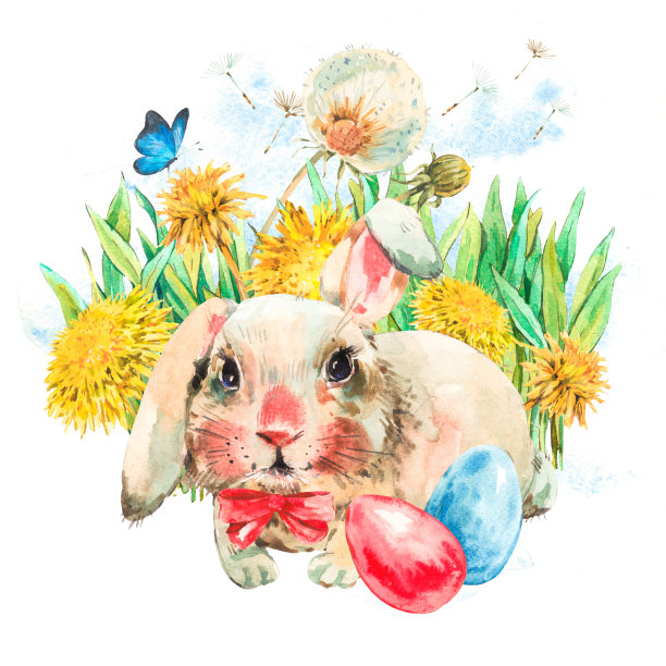 水彩画复活节白兔用黄色的蒲公英，彩色的鸡蛋图片下载