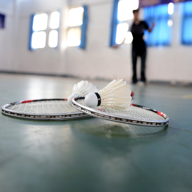 羽毛球图片下载