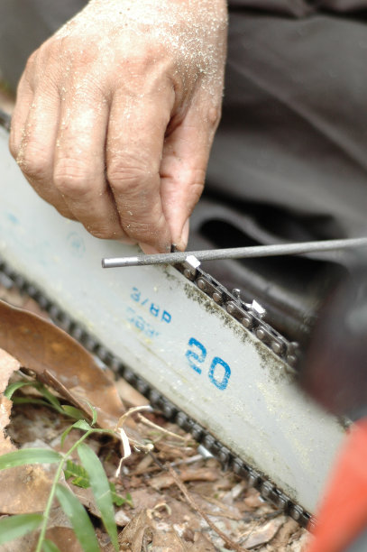 人在磨电锯片图片下载