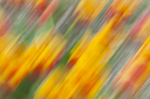 抽象的彩色设计与运动模糊效果。图片下载