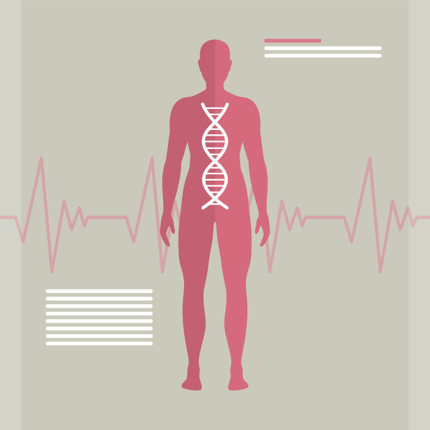 人类DNA向量素材图片