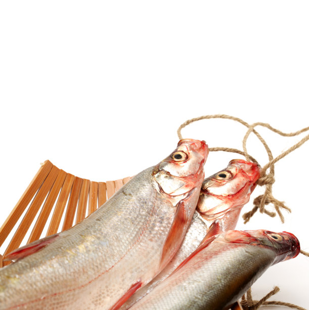 托普茅斯栽培者图片下载