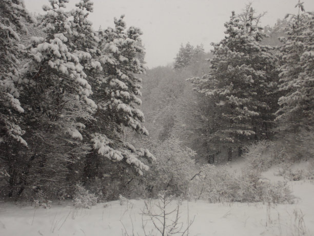 冬天的土地图片下载