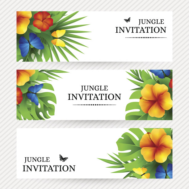 热带邀请背景与异国鲜花和蝴蝶图片下载