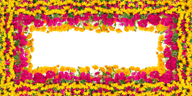 华丽的鲜花框架夏天生日。孤立的手工拼贴向日葵，玫瑰和橙色雏菊图片下载