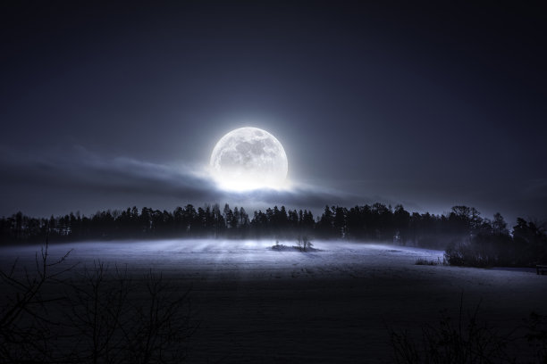 denmond来了图片下载