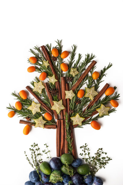 圣诞树由调味料、水果和香料制成图片下载
