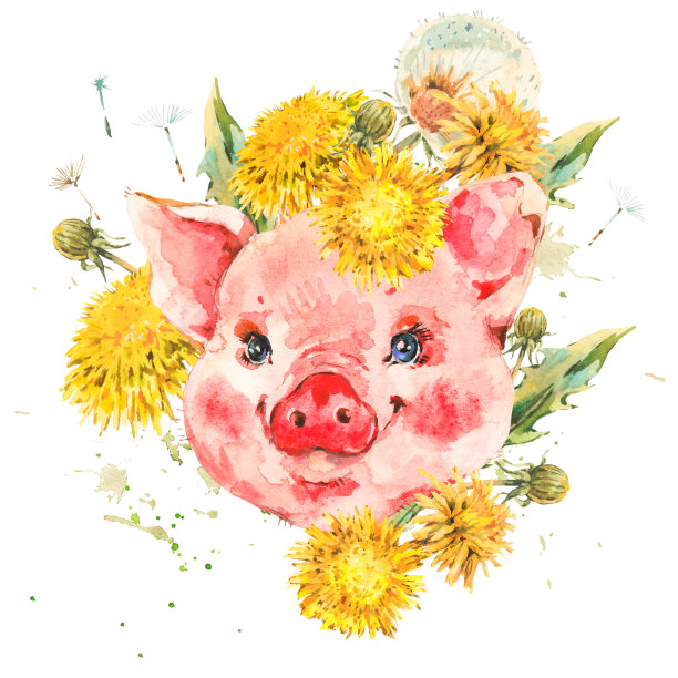可爱的水彩猪和春天的花朵图片下载