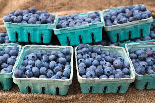 蓝莓装在一次性纸盒里图片下载