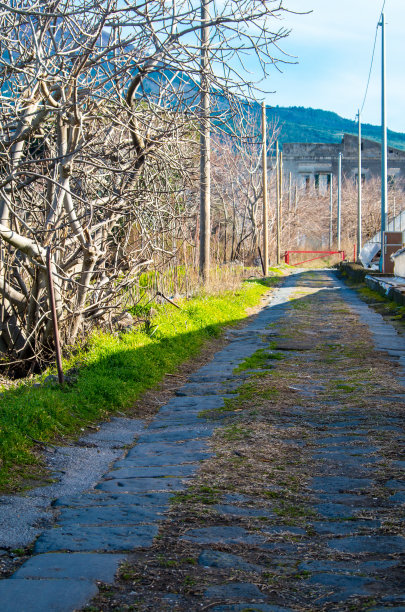 早上的砖街图片下载