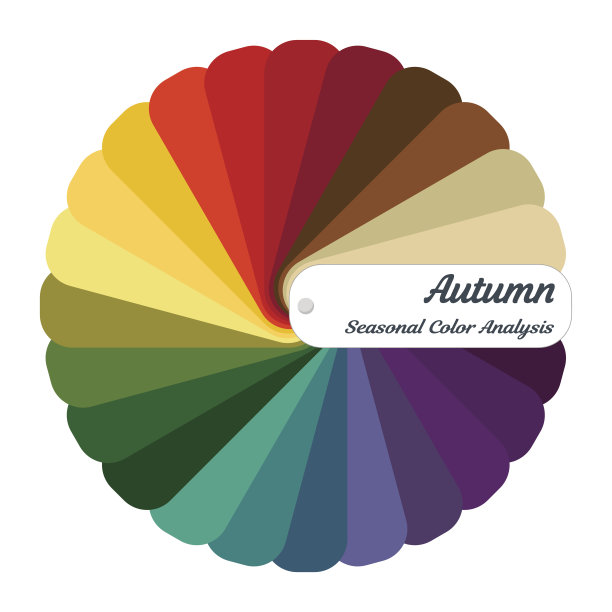 股票矢量颜色指南。季节性色彩分析调色板为秋季型图片下载