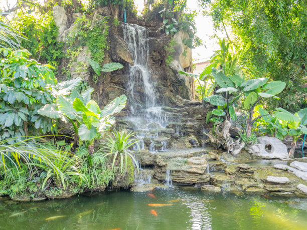 装饰瀑布和树木的环境图片下载