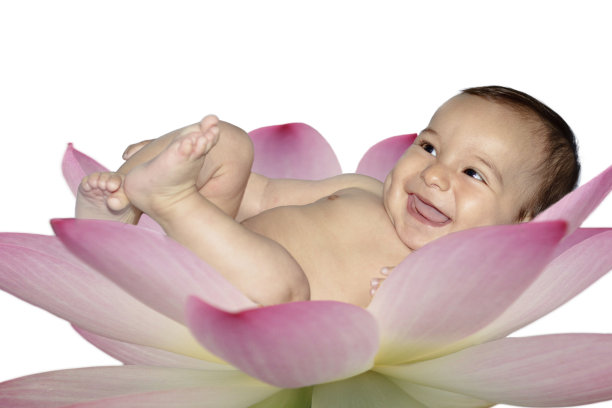 Lotus婴儿图片下载