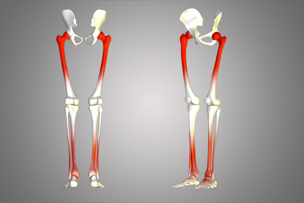 臀部和腿图片下载