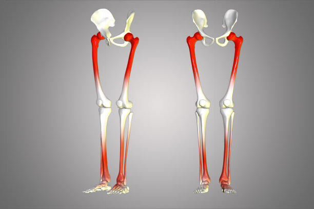 臀部和腿图片下载