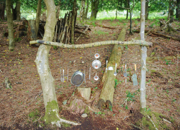 森林中的银声小径，德鲁斯滕顿，德文郡，英格兰，英国图片下载