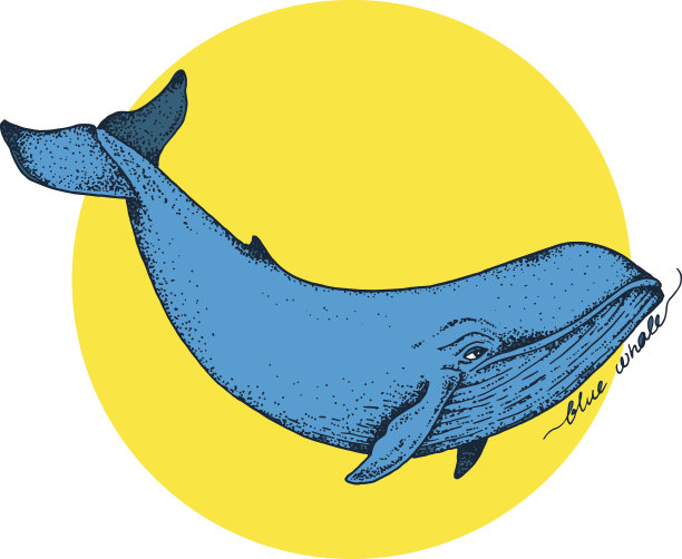 大蓝鲸-矢量手绘抽象插图图片下载