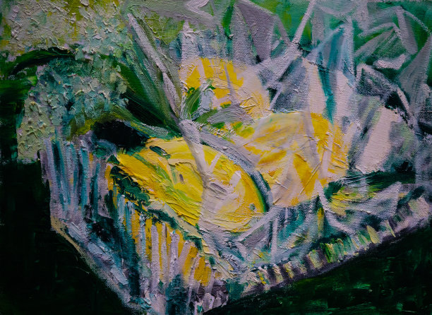 抽象油画，方形玻璃碗里的柠檬，玻璃纸包裹图片下载