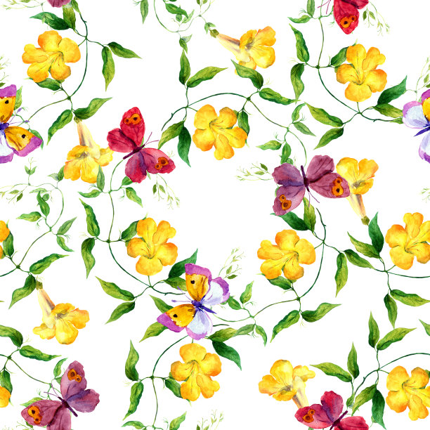 黄色的花和蝴蝶。无缝的印花。水彩画图片下载