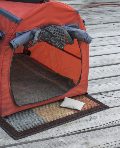 个人宠物收容所图片下载